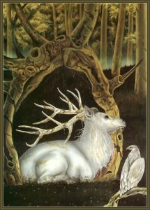 White Deer-Arthur White Stag