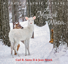 white-deer-a-magical-winter-carl-sams