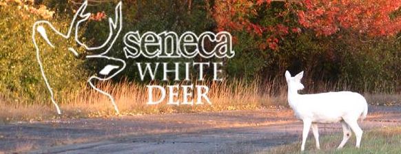 http://protectthewhitedeer.com/wp-content/uploads/2020/12/White-Deer-License-Plate-Article-Seneca-White-Deer-Logo-Nov.-6-2020.jpg